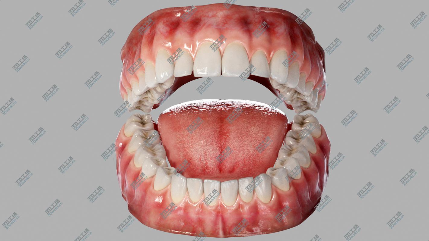 images/goods_img/202104023/Realistic Human Mouth Teeth Tongue Rigged 3D model/2.jpg
